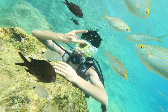 Diving with optional Pick Up - Drop Off from Antalya - What You Can Expect from the Tour