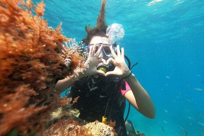 Diving with optional Pick Up - Drop Off from Antalya - What Makes This Tour Stand Out