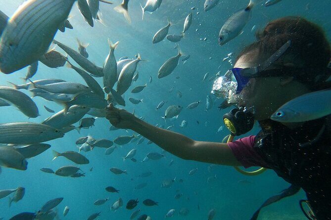 Diving with optional Pick Up - Drop Off from Antalya - Practical Details and Tips