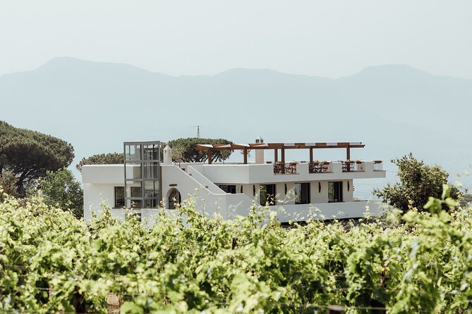 Divino Vesuvio - Wine Tasting on the Slopes of Mount Vesuvius From Naples - Meeting and Pickup Details
