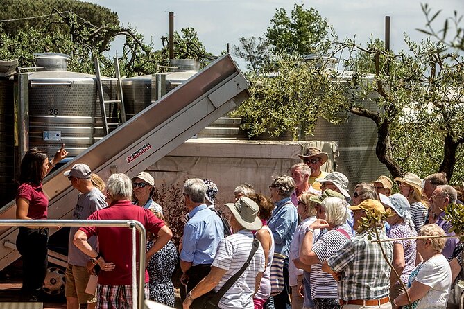 Divino Vesuvio - Wine Tasting on the Slopes of Mount Vesuvius From Naples - General Comments