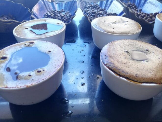 DIY Coffee Roasting in Berlin - Target Audience