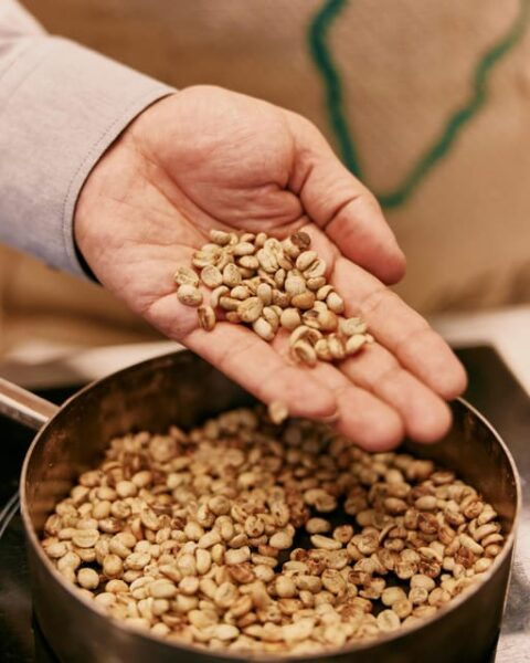 DIY Coffee Roasting in Berlin - How to Reserve Your Spot