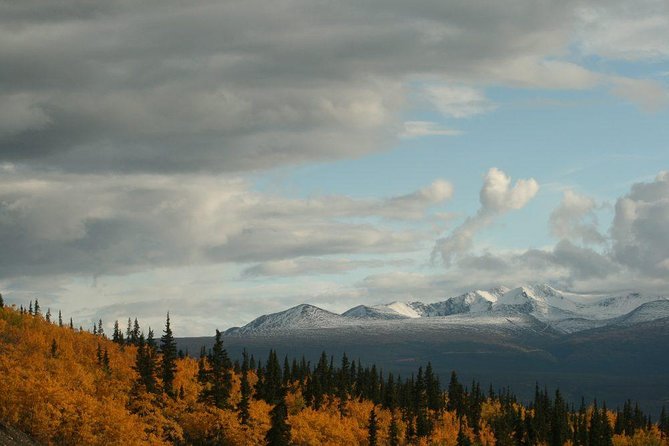 DIY Yukon Tour - Customer Feedback and Highlights