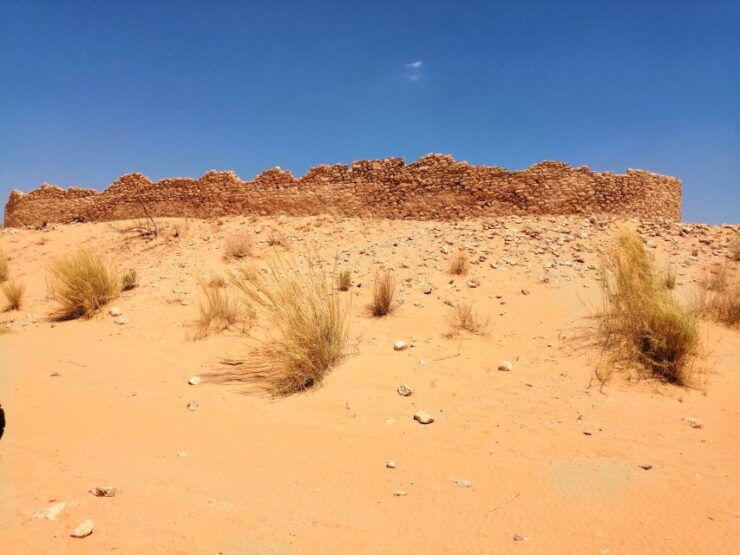 Djerba: 1-Day Tour With Camel Ride, Hot Springs, and More - Highlights of the Experience