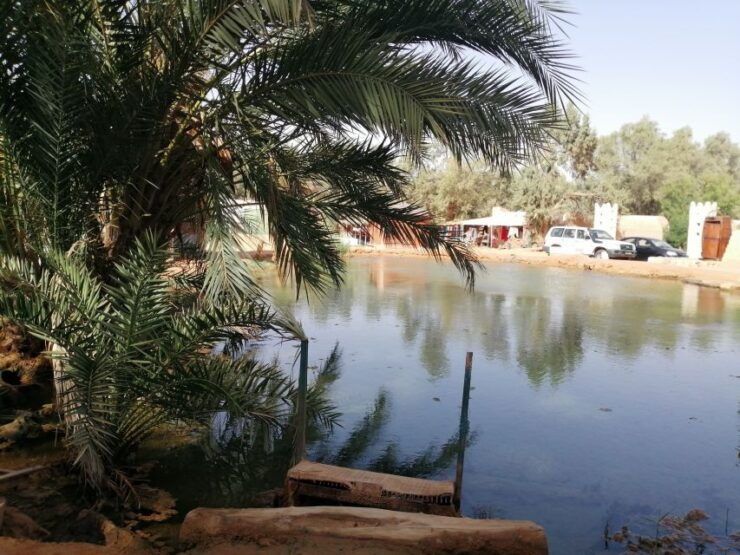 Djerba: 1-Day Tour With Camel Ride, Hot Springs, and More - Itinerary