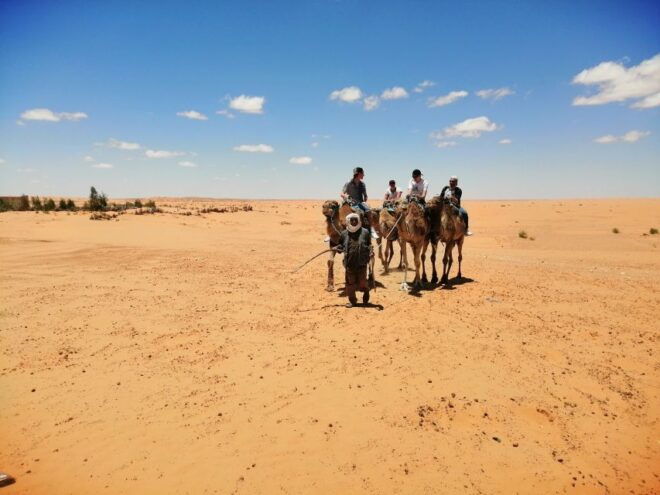 Djerba: 1-Day Tour With Camel Ride, Hot Springs, and More - Guermassa - A Deserted Berber Village