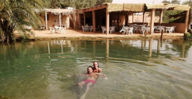 Djerba: 1-Day Tour With Camel Ride, Hot Springs, and More - Comfortable Drop-off