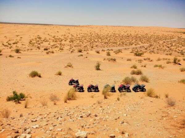 Djerba: 1-Day Tour With Camel Ride, Hot Springs, and More - Common Questions
