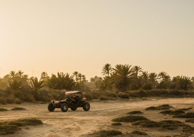 Djerba 1H30 Buggy Adventure: Unleash the Fun - Buggy Adventure Highlights