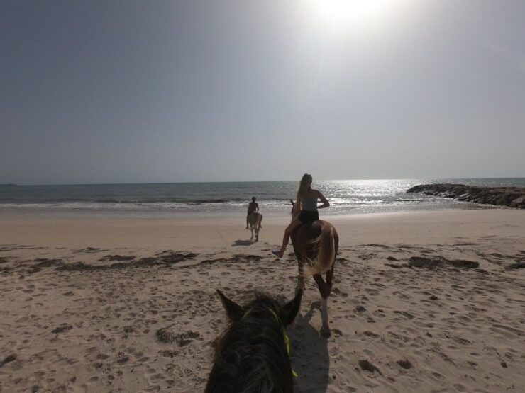Djerba: 2-Hour Lagoon Horse Riding Experience - Activity Details