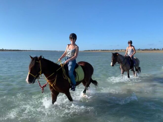 Djerba: 2-Hour Lagoon Horse Riding Experience - Pickup Service