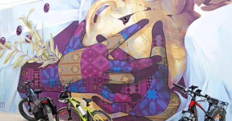 Djerba: Erriadh Djerbahood E-Bike Tour - Experience Highlights