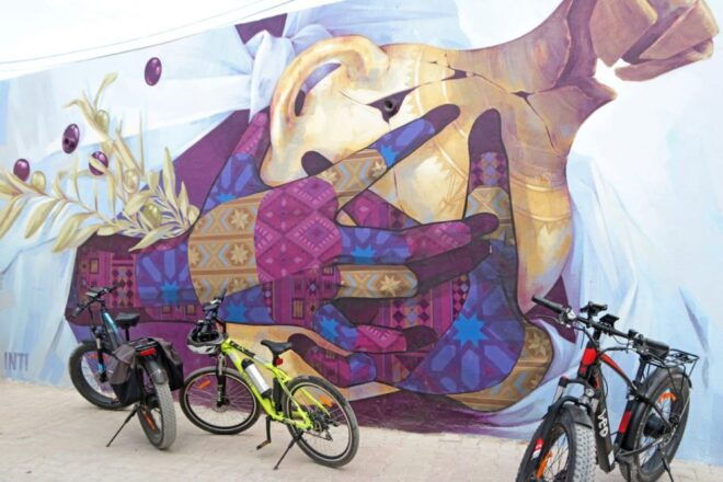 Djerba: Erriadh Djerbahood E-Bike Tour - Full Description