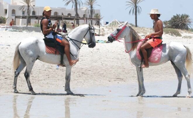 Djerba: Guided Horseback Riding Tour - Review Summary