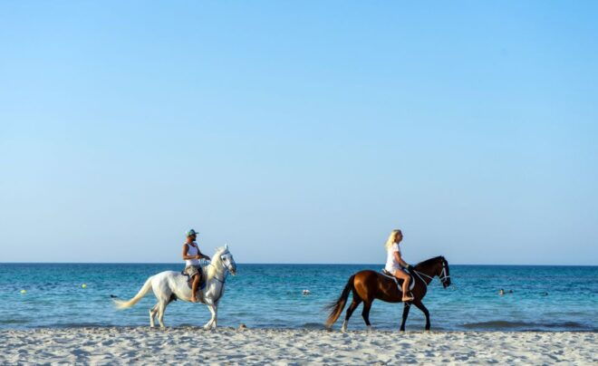 Djerba: Guided Horseback Riding Tour - The Sum Up