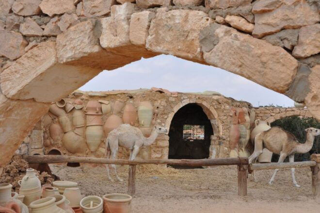 Djerba: Half-Day Island Tour - Review Summary