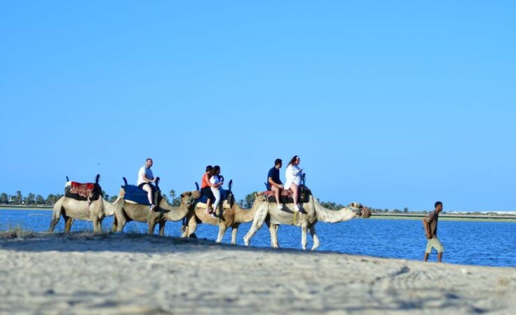 Djerba: Horse and Camel Combo Caravan Tour - Activity Details