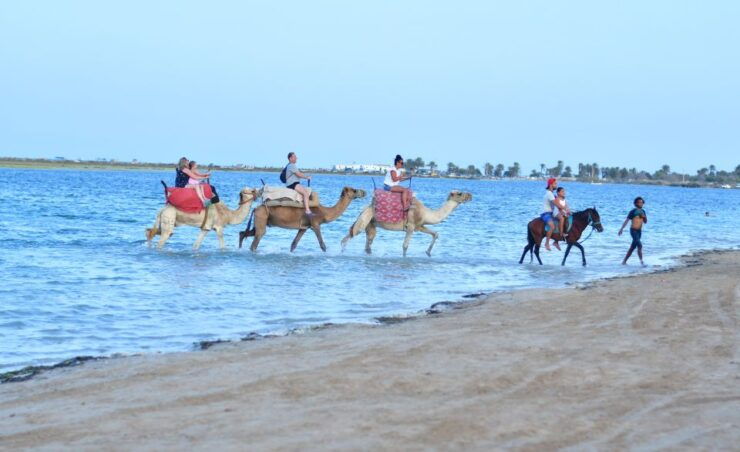 Djerba: Horse and Camel Combo Caravan Tour - Experience