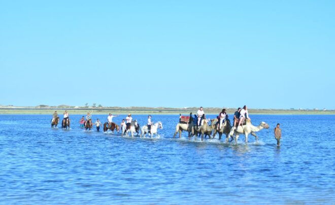 Djerba: Horse and Camel Combo Caravan Tour - Highlights