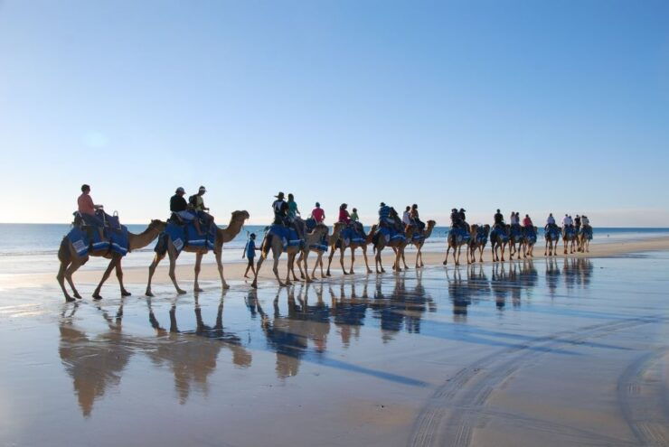 Djerba: Lagoon Camel Ride Experience - Activity Details