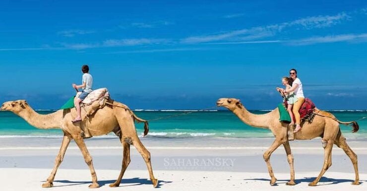 Djerba: Lagoon Camel Ride Experience - Experience Highlights