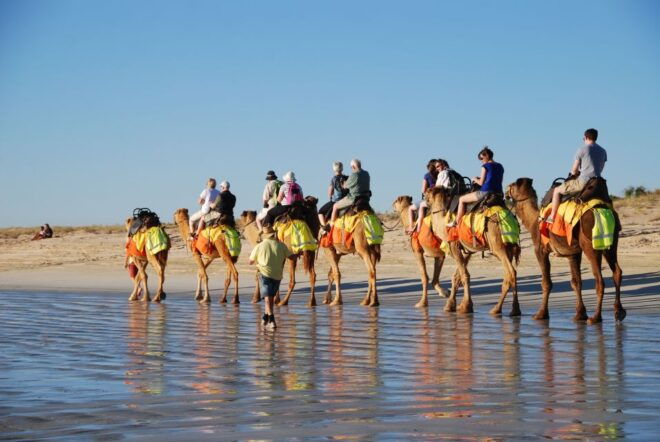 Djerba: Lagoon Camel Ride Experience - Common Questions