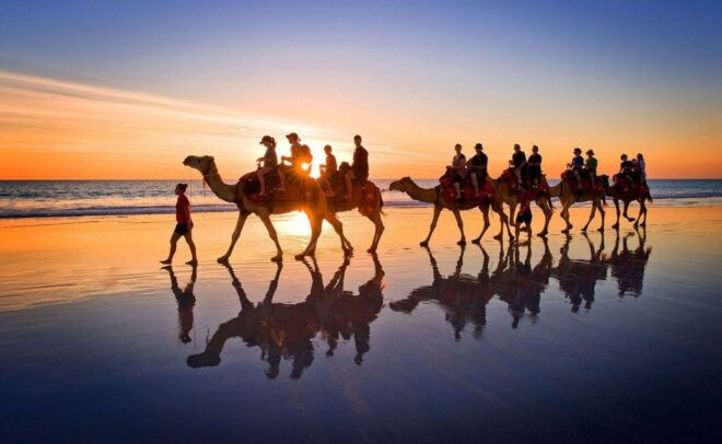 Djerba: Lagoon Camel Ride Experience - The Sum Up