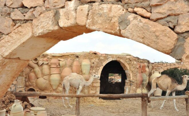 Djerba: Pottery Village and Heritage Museum Tour - Highlights