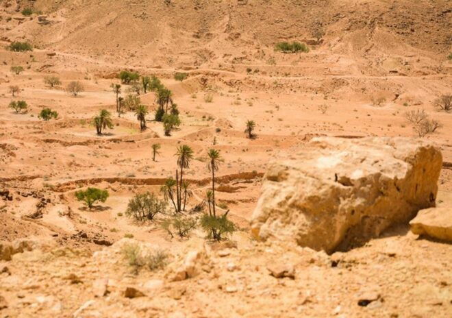 Djerba-Zarzis: Tataouine, Chenini and Ksar Hadada Day Tour - Additional Information