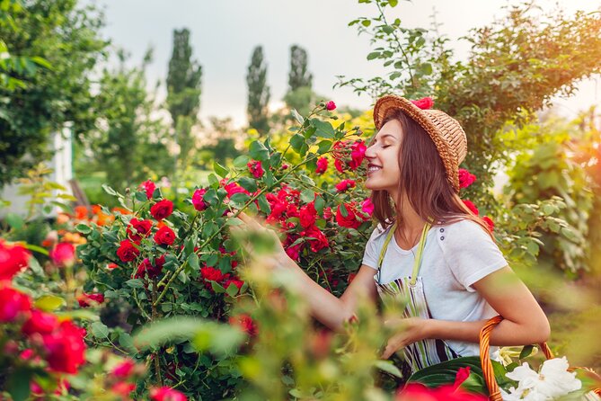 Djurgården Walking Tour, Skansen and Vasa Museum Stockholm - Djurgården Walking Tour