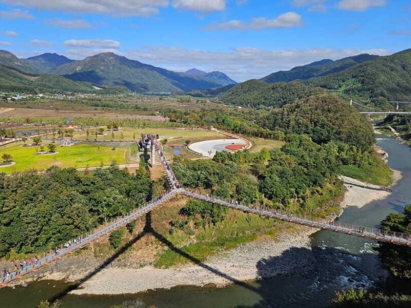 DMZ 2nd tunnel & Y Shaped Suspension Bridge Tour from Seoul - In-Depth Look at the DMZ and Beyond