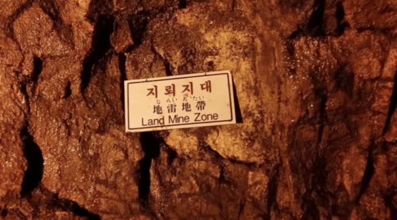 DMZ 2nd tunnel & Y Shaped Suspension Bridge Tour from Seoul - Introduction