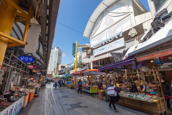 DMZ Adventure Tour: Exploring the Borders of Sokcho and Goseong - Historical Significance of the DMZ