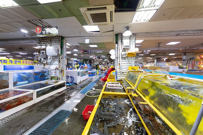 DMZ Adventure Tour: Exploring the Borders of Sokcho and Goseong - Tour Itinerary