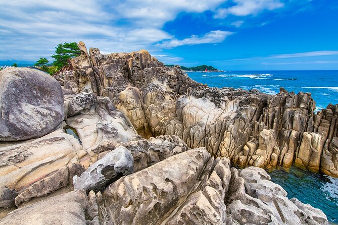 DMZ Adventure Tour: Exploring the Borders of Sokcho and Goseong - Booking and Cancellation Policy