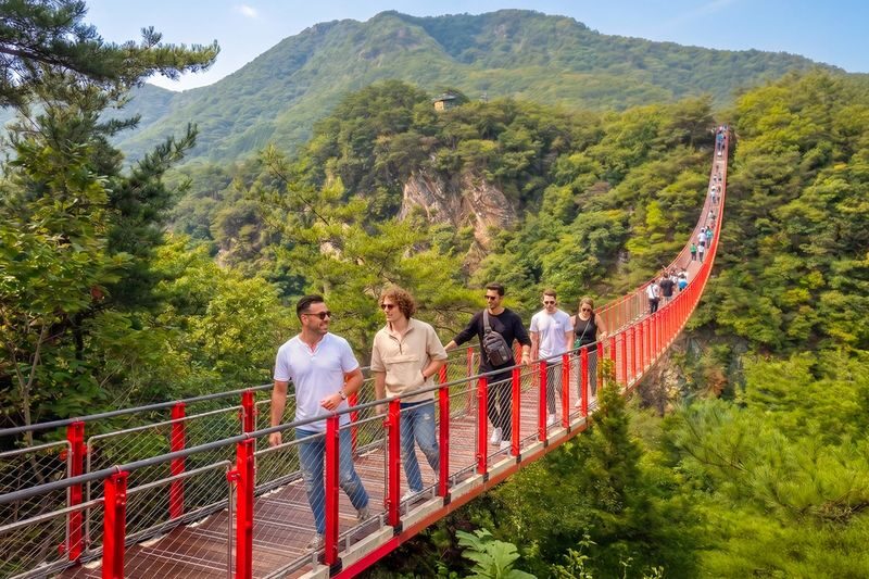 DMZ(Demilitarized Zone) with North Korean Defector/Suspension Bridge - Woljeongri Station adds a different note