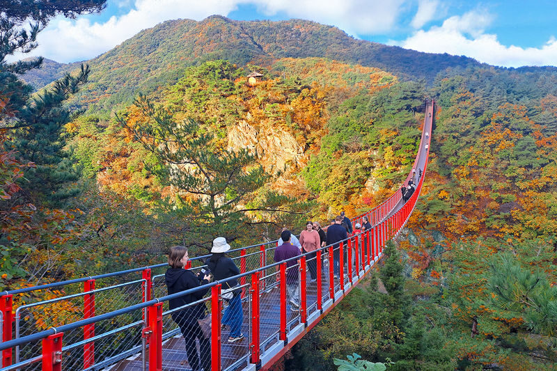 DMZ(Demilitarized Zone) with North Korean Defector/Suspension Bridge - Choose the defector session for a personal perspective