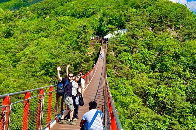 DMZ Guided Tour & Suspension Bridge / North Korean Defector - The Sum Up