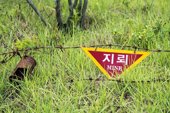 DMZ One Day Tour in Gyeonggi-do with English or Spanish - Who Should Consider This Tour?