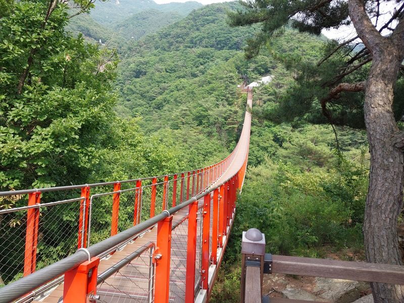 DMZ & Suspension Bridge Full-Day Guided Tour - Practical points before you book
