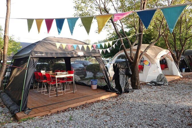 DMZ Tour & Campnic with BBQ Experience - Good To Know