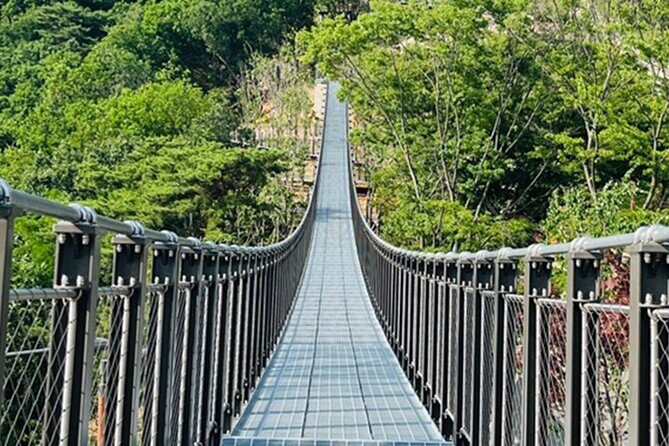 DMZ Tour & Campnic with BBQ Experience - FAQs