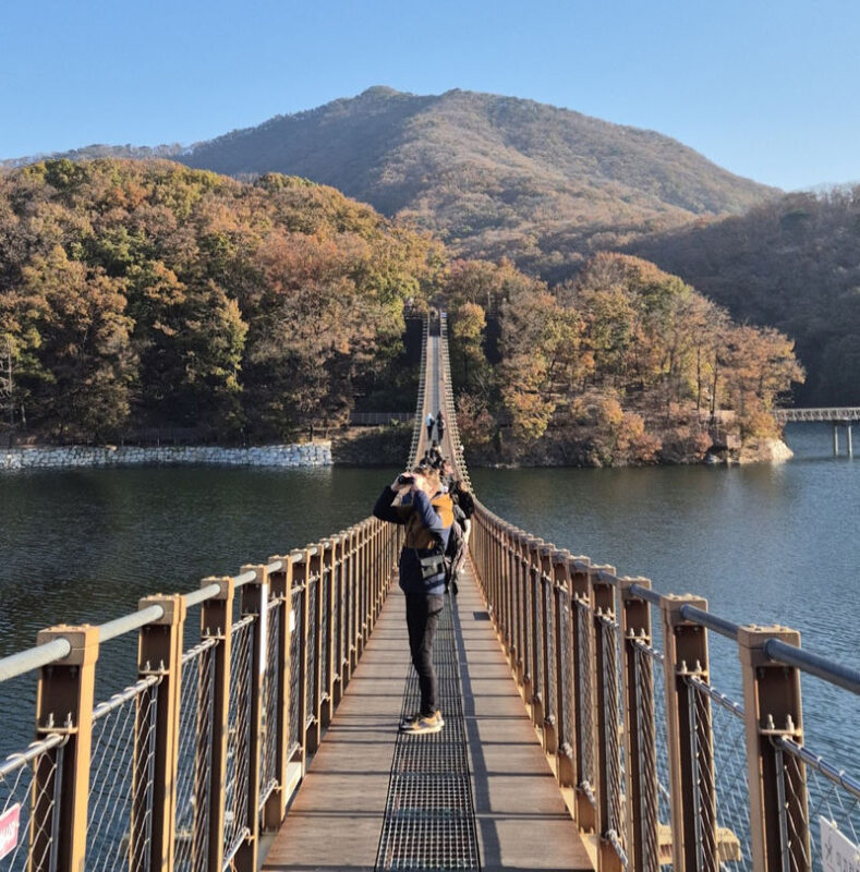 DMZ Tour & Exclusive North Korean Defector Meet-Up from Seoul - Is this DMZ tour right for you?