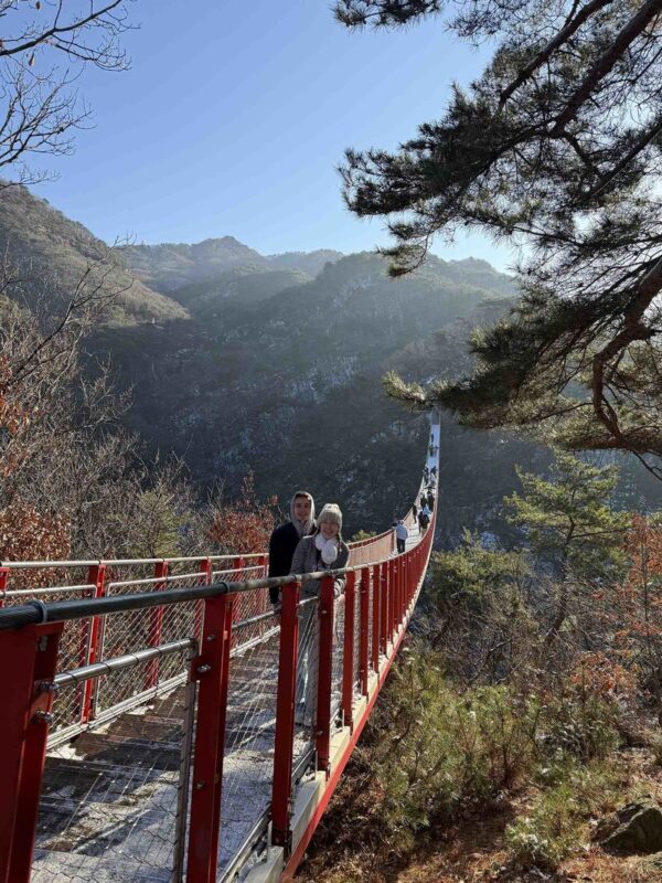 DMZ Tour; NK Defector Meet up & Suspension Bridge (optional) - From Seoul to the border zone
