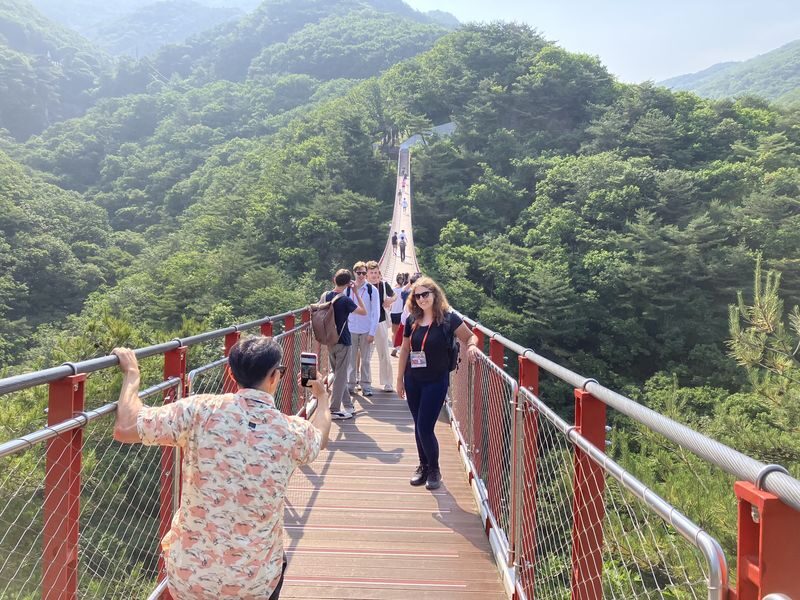 DMZ Tour: Red Suspension Bridge & Observatory from Seoul - From Seoul to the edge of the DMZ