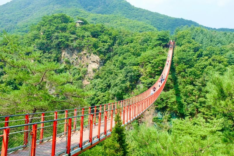 DMZ Tour: Red Suspension Bridge & Observatory from Seoul - A café with a view, in a separate option
