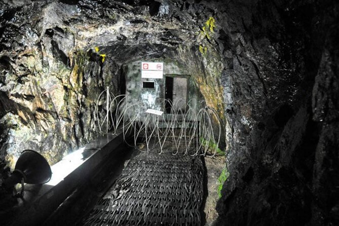 DMZ Tour With Gondol and Imjingak Nuri Peace Park Half Day Tour - Passport Requirements and Identification