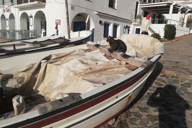 Do a Real Zindagi Na Milegi Dobara in Costa Brava From Barcelona - Common Questions