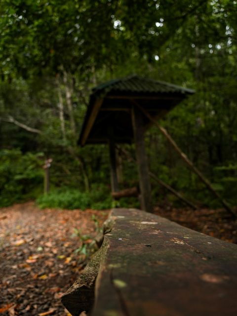 Do You Want to Enjoy a Jeep Tour in a Different Way? - Tour Details